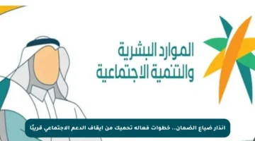 انذار ضياع الضمان.. خطوات فعالة تحميك من إيقاف الدعم الاجتماعي قريبًا